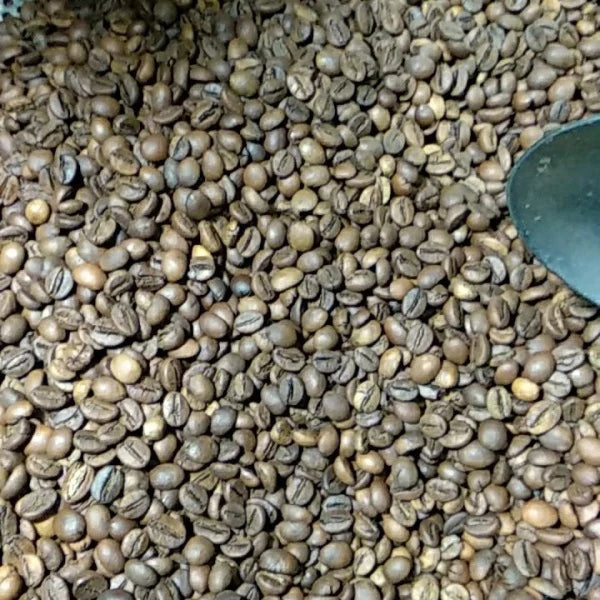 Kopi Robusta Cibeber Green bean Coffee Full Wash Kopi Robusta Cibeber