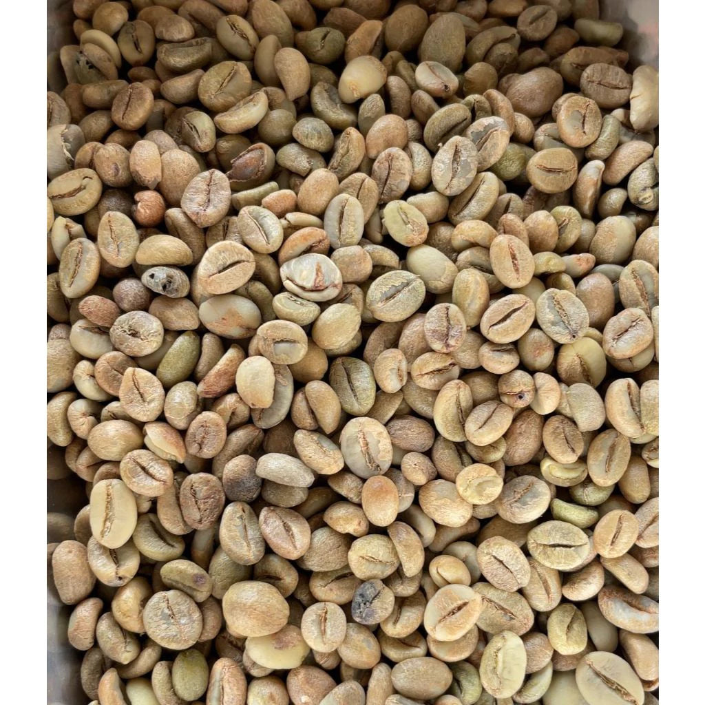 Kopi Robusta Cibeber Green bean Coffee Full Wash Kopi Robusta Cibeber