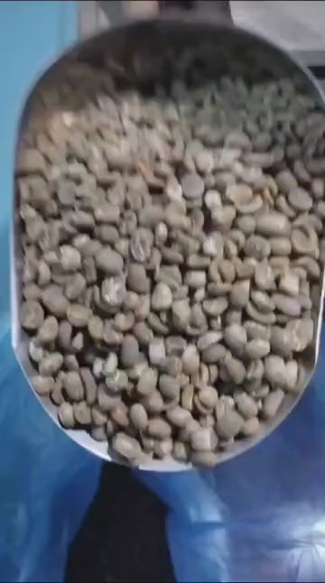 Kopi Aceh Gayo Green Bean harga Per kilo