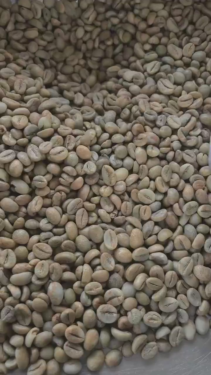 Kopi Robusta Cibeber Green bean Coffee Full Wash Kopi Robusta Cibeber